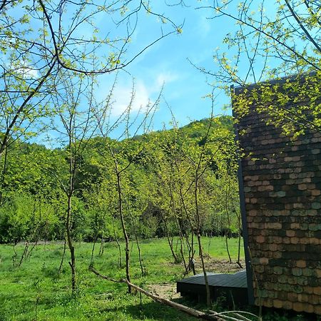 Hotel Retreat In Padure Buchin Esterno foto