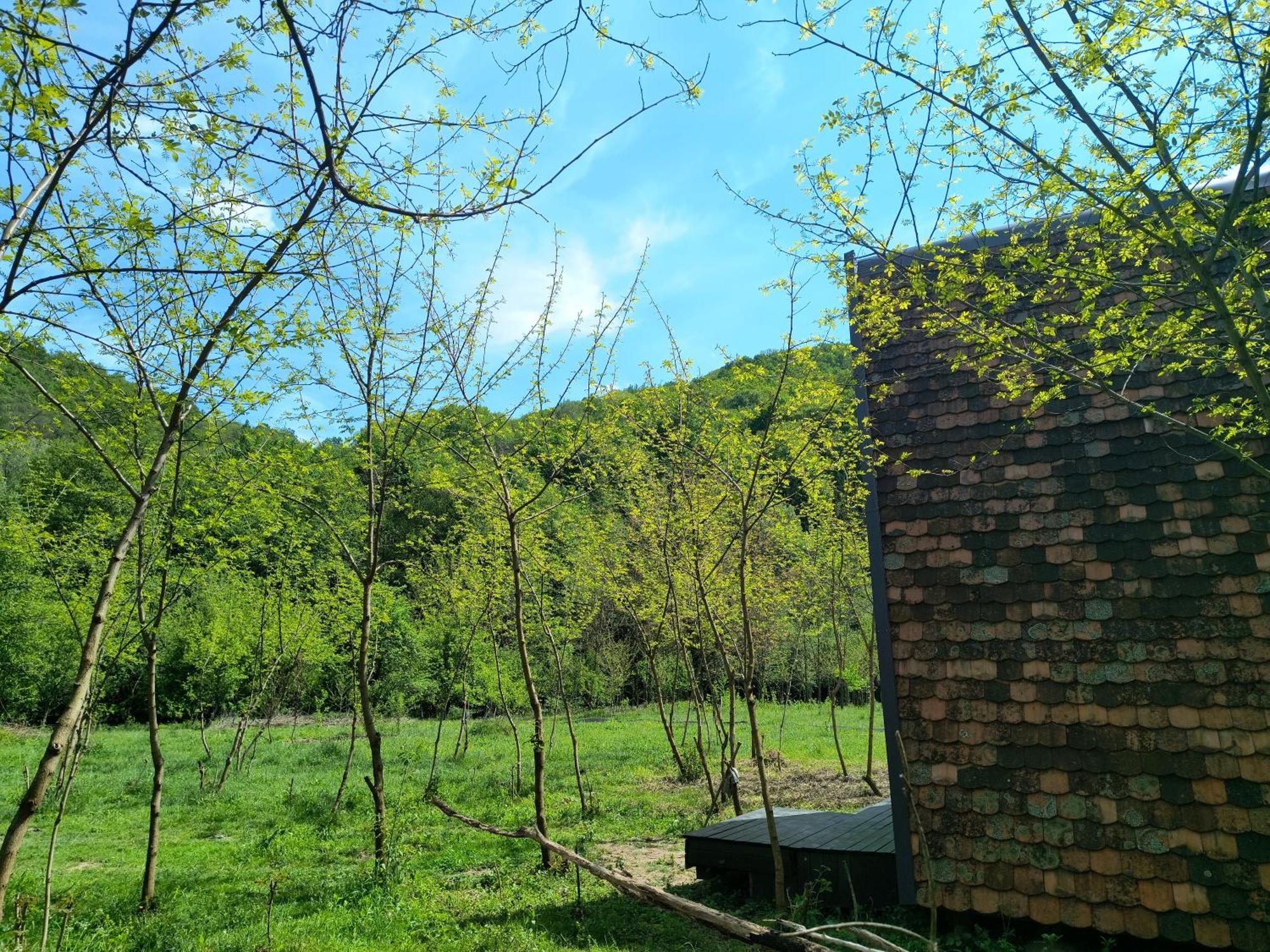 Hotel Retreat In Padure Buchin Esterno foto
